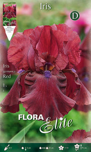 IRIS GERMANICA ROSSO (CONFEZIONE DA 1 BULBO)