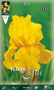 IRIS GERMANICA GELB (1 Stück pro Packung)