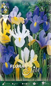 BULBI IRIS HOLLANDICA MIXED COLOR (CONFEZIONE DA 10 BULBI)