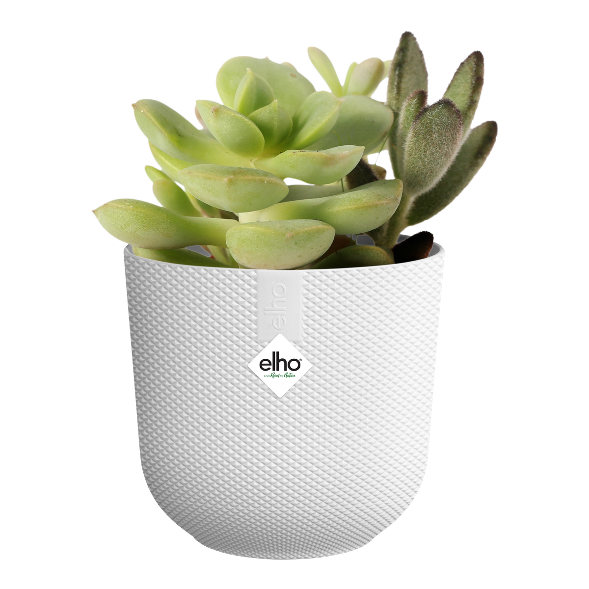 Vaso Jazz Round Mini D 7 x H 7 cm Silky White ELHO