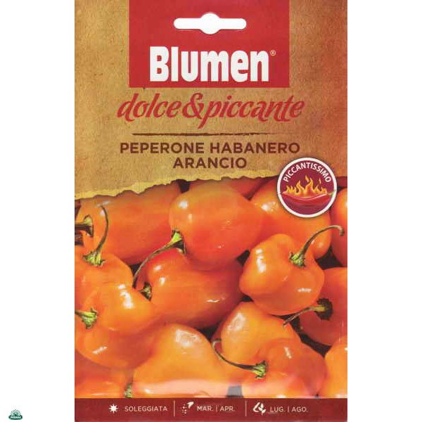 BUSTINA CON SEMI DI PEPERONE HABANERO ARANCIO PICCANTISSIMO