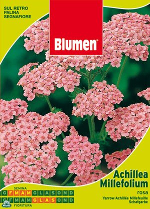 BUSTINA CON SEMI DI ACHILLEA MILLEFOLIUM ROSA