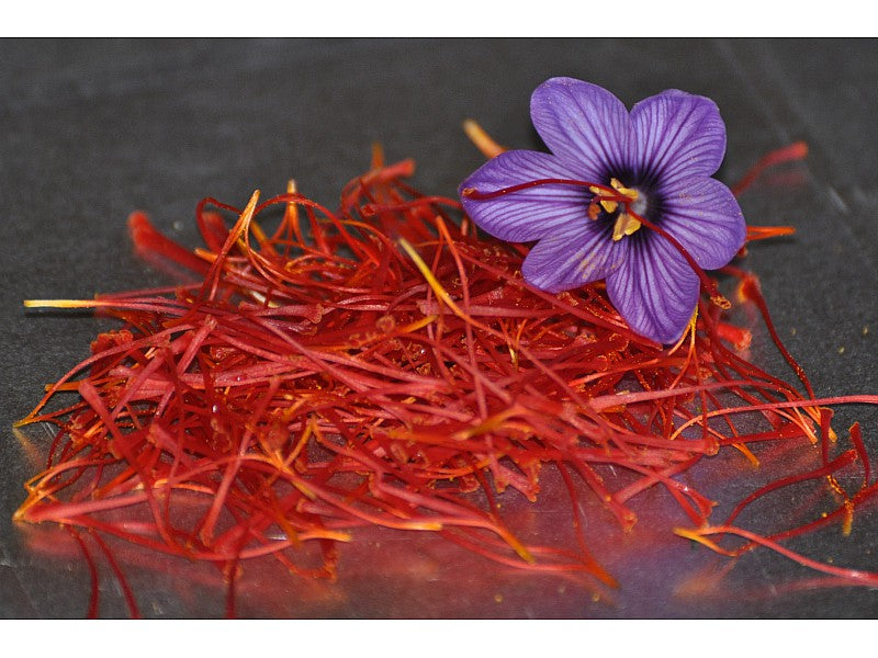 OFFERTA 200 BULBI DI CROCUS SATIVUS ZAFFERANO