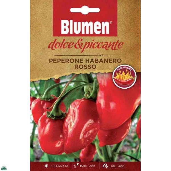 BUSTINA CON SEMI DI PEPERONE HABANERO ROSSO PICCANTISSIMO