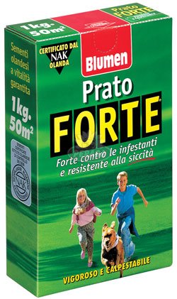 PRATO FORTE VIGOROSO E CALPESTABILE 500GR