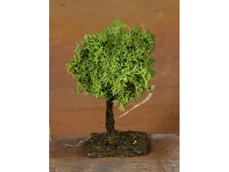 OFFERTA 3 ALBERI LICHENE 7CM