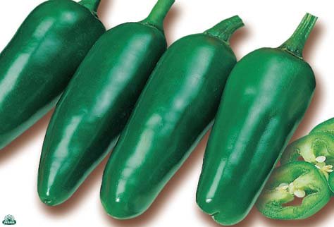 PLANT DE PIMENT HABANERO ROUGE (EN POT DE 14 CM)