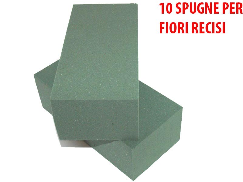 10 SPUGNE PER FIORI RECISI FRESCHI
