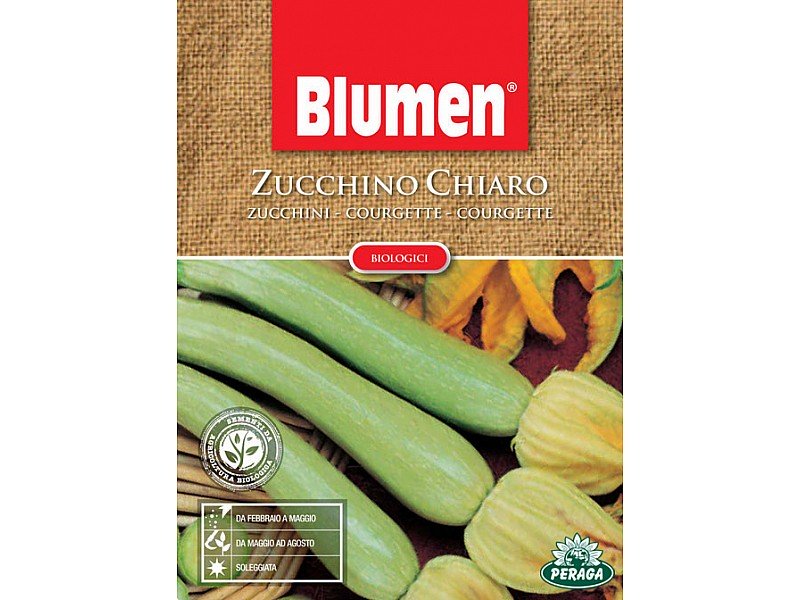 SEMI DI ZUCCHINO CHIARO BIOLOGICA