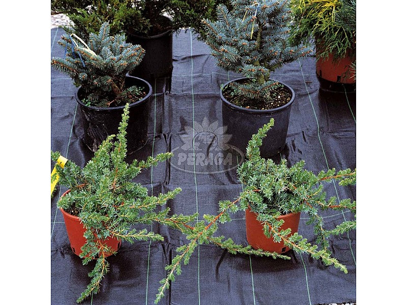 TELO PER PACCIAMATURA IN POLIPROPILENE VERDE M 2,1X5