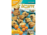 BUSTINA CON SEMI DI PHYSALIS ALKEKENGI