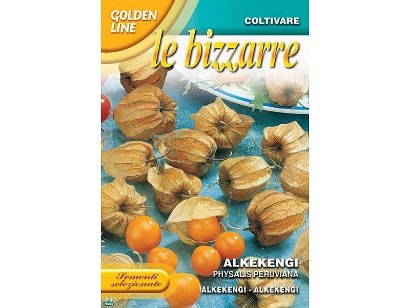 BUSTINA CON SEMI DI PHYSALIS ALKEKENGI