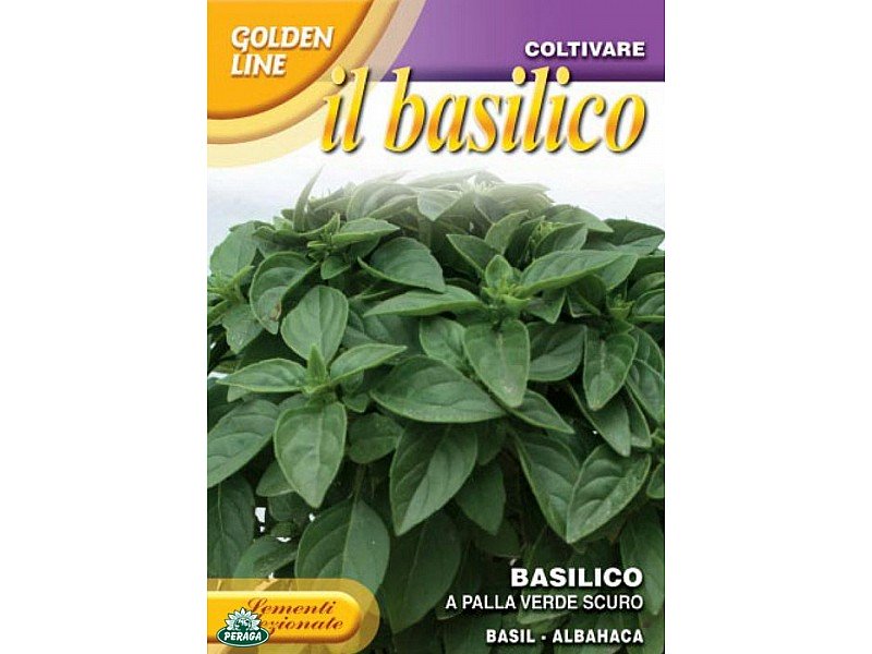 BUSTINA CON SEMI DI BASILICO A PALLA VERDE SCURO