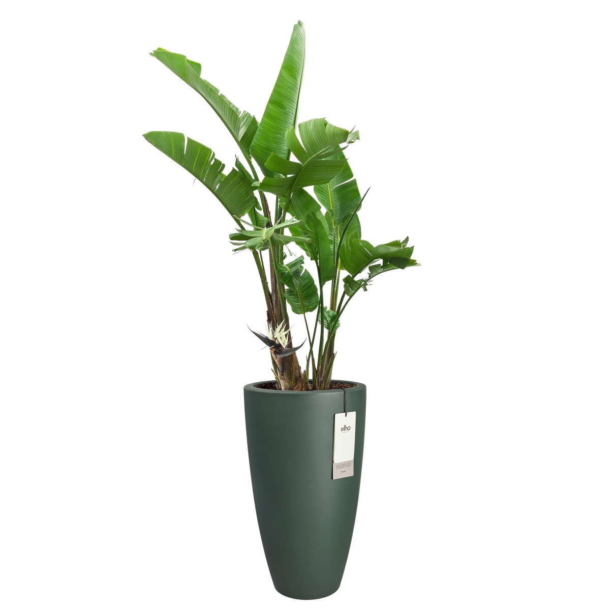 Vaso Juno Round High D 39 x H 70 cm Verde Smeraldo Elho
