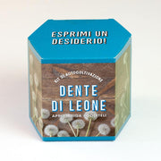 KIT AUTOCOLTIVAZIONE DENTE DI LEONE