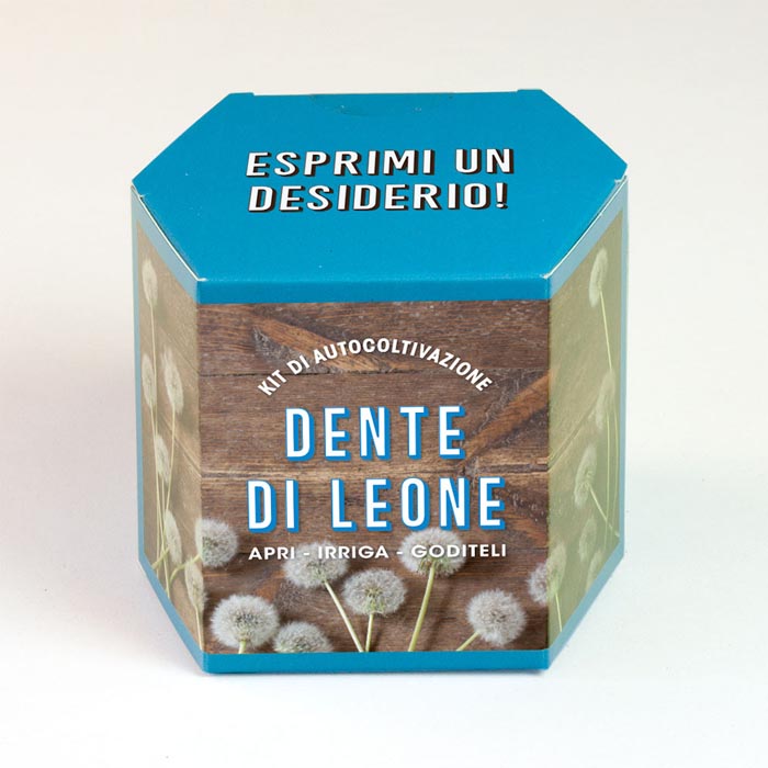 KIT AUTOCOLTIVAZIONE DENTE DI LEONE
