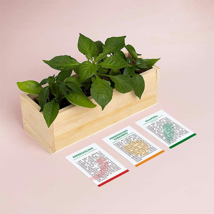 KIT AUTOCOLTIVAZIONE PICCANTI
