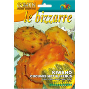 SEMI DI KIWANO CUCUMIS METULIFERUS LE BIZZARRE