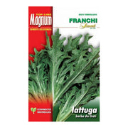 BUSTA MAGNUM SEMI DI LATTUGA BARBA DEI FRATI FRANCHI SEMENTI