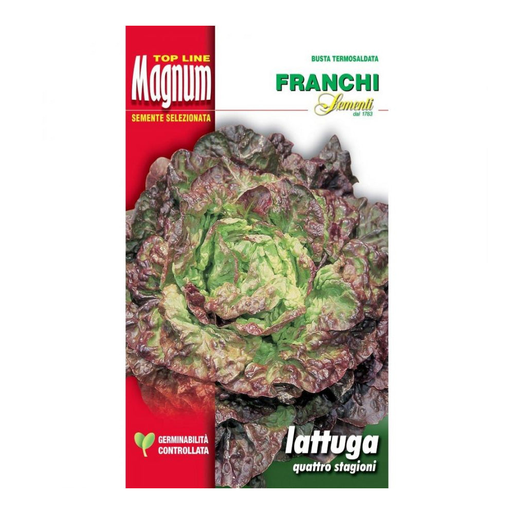 BUSTA MAGNUM SEMI DI LATTUGA QUATTRO STAGIONI FRANCHI SEMENTI