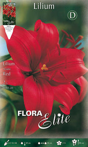 LILIUM ASIATIC ROSSO (CONFEZIONE DA 2 BULBI)