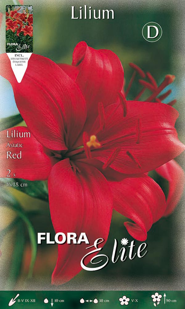 LILIUM ASIATIC ROSSO (CONFEZIONE DA 2 BULBI)