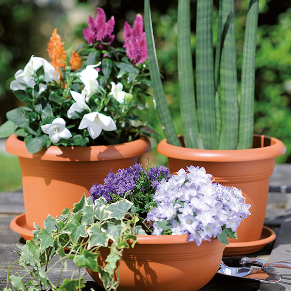 VASO LINEA MEDITERRANEO 30CM COLORE A SCELTA