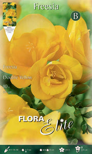 FREESIA DOUBLE YELLOW (CONFEZIONE DA 10 BULBI)