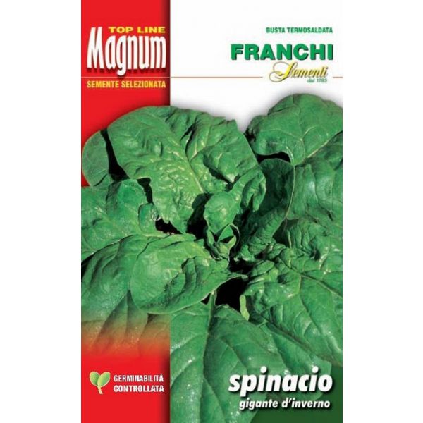 SEMI SPINACIO GIGANTE D'INVERNO