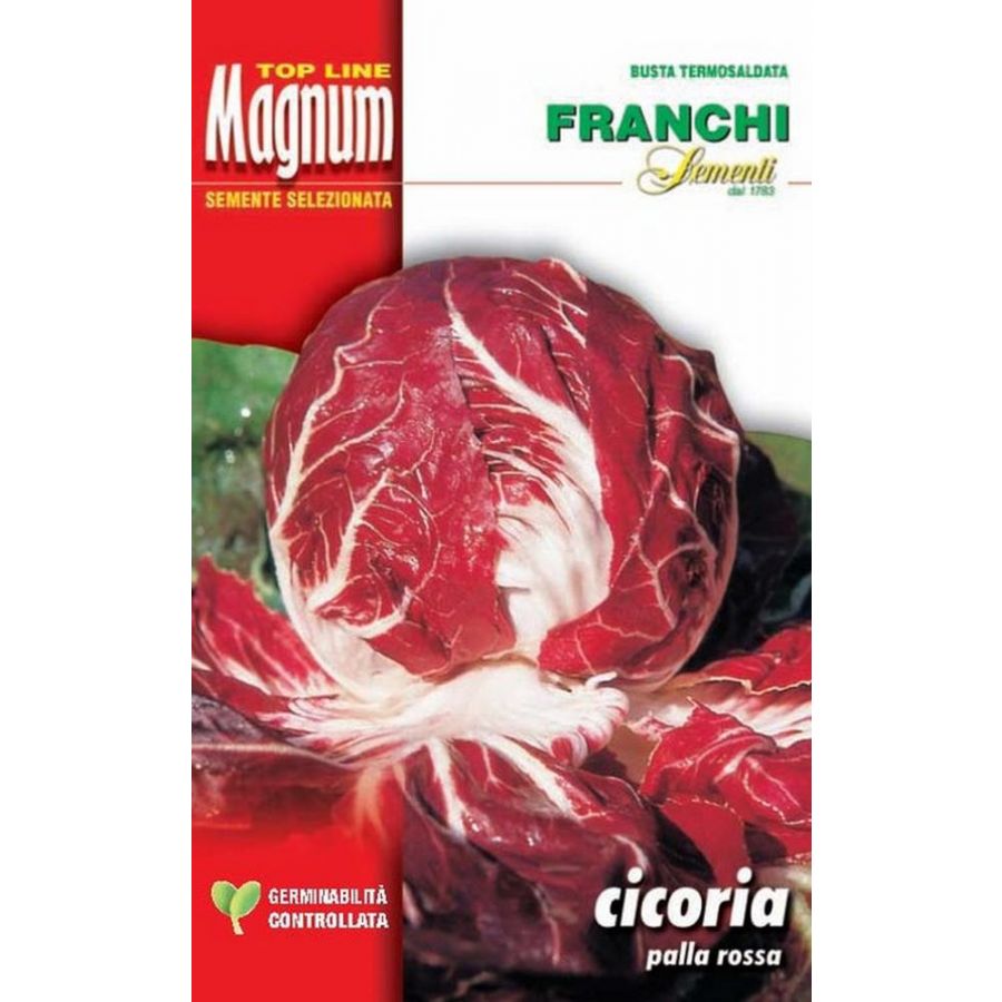 SEMI CICORIA PALLA ROSSA PRECOCE BUSTA MAGNUM