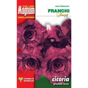 SEMI CICORIA ROSSA VERONA TARDIVA GRUMOLO ROSSA BUSTA MAGNUM