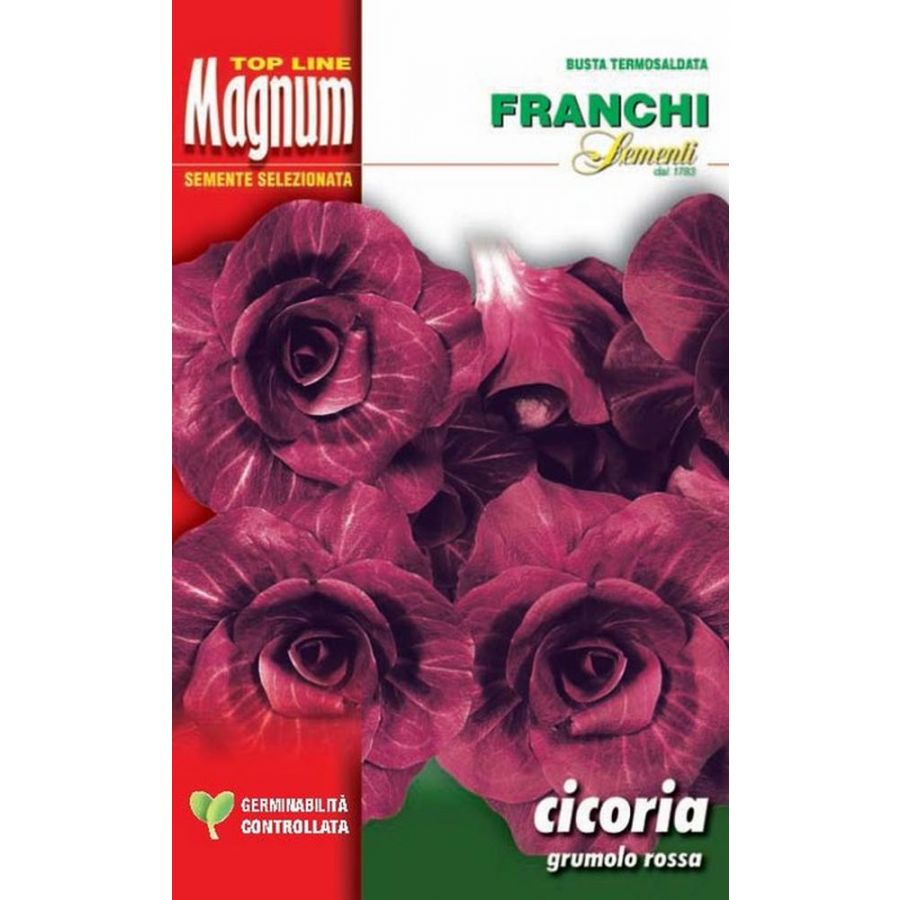 SEMI CICORIA ROSSA VERONA TARDIVA GRUMOLO ROSSA BUSTA MAGNUM