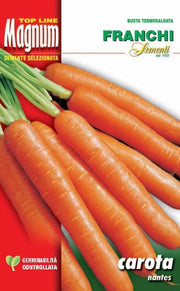 BUSTA MAGNUM SEMI DI CAROTA NANTES