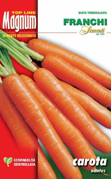 BUSTA MAGNUM SEMI DI CAROTA NANTES