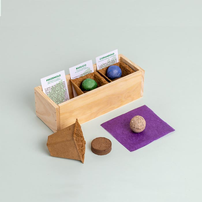 MINI ORTO - ERBE AROMATICHE