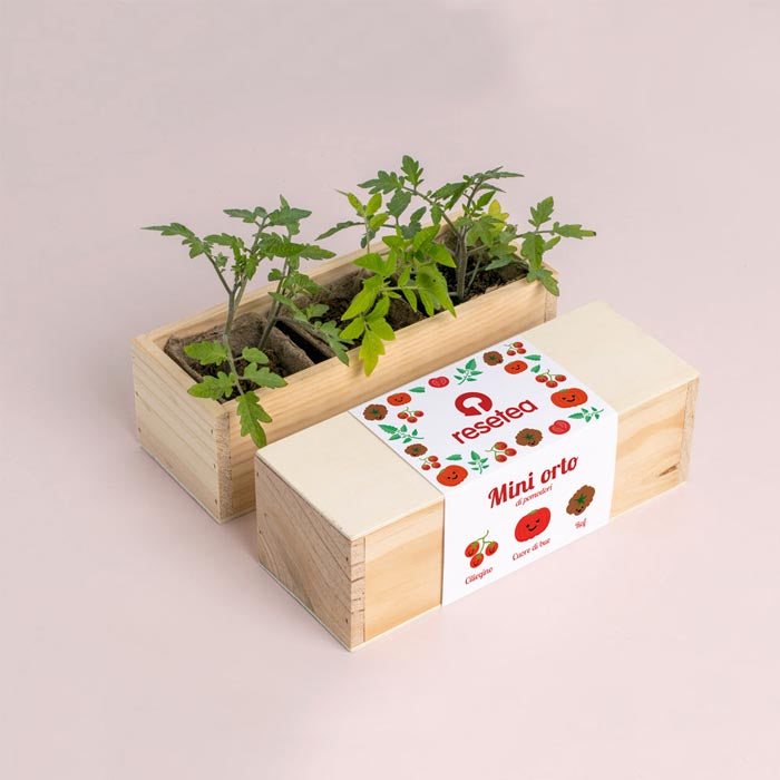 MINI ORTO - POMODORI