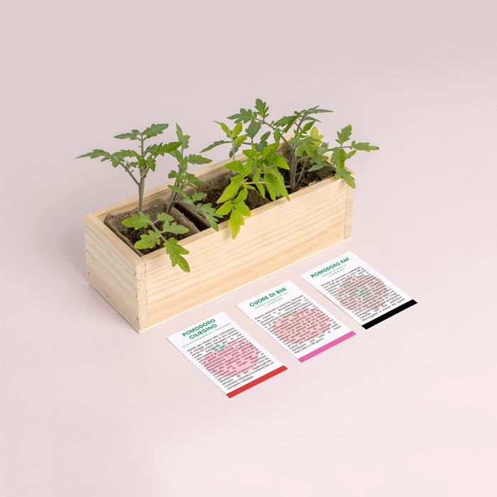 MINI ORTO - POMODORI