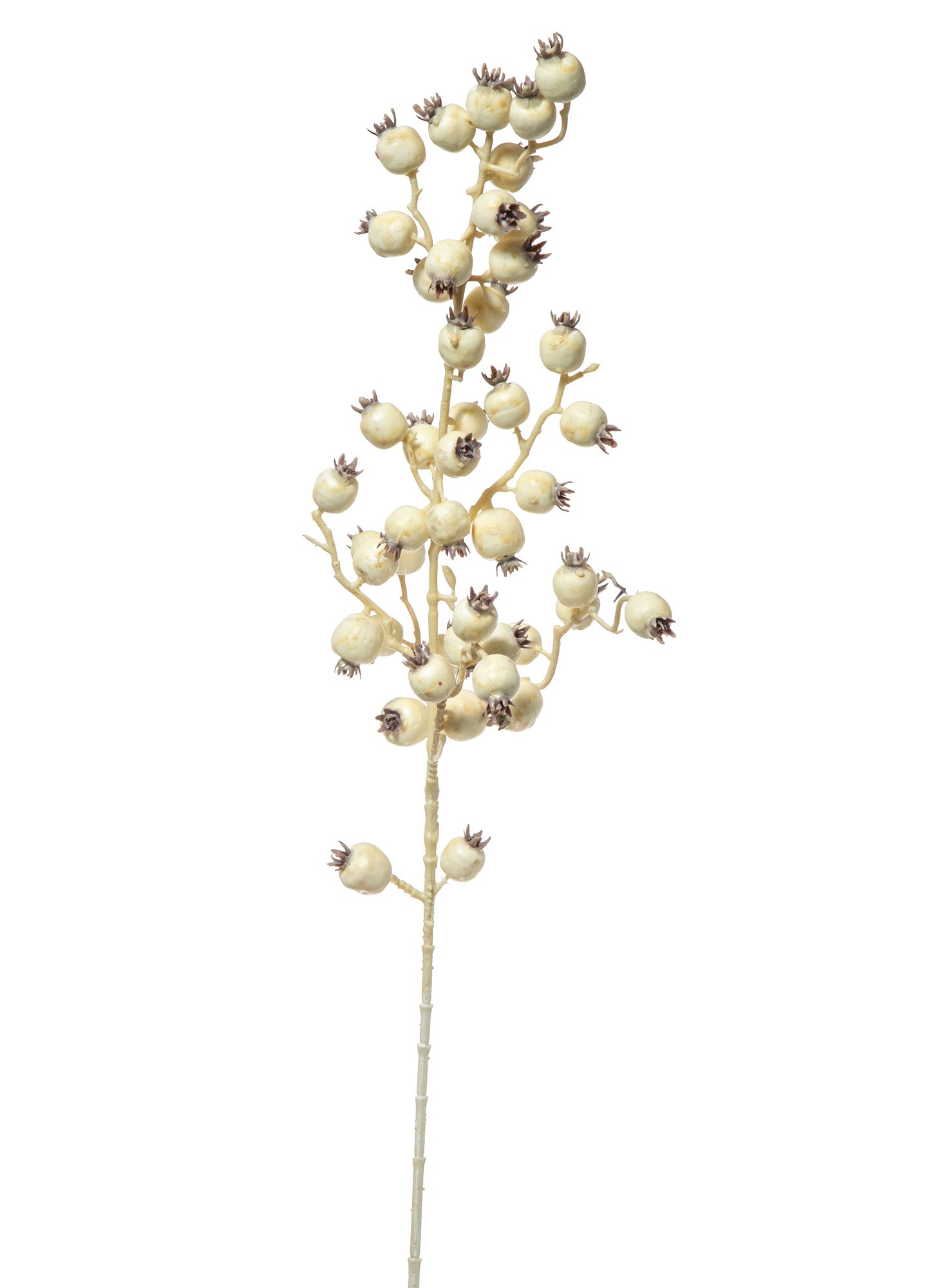 RAMO CON BACCHE CREMA 80CM