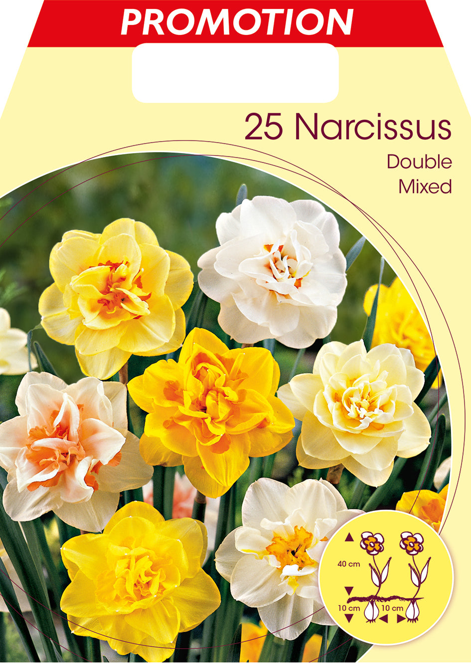 BULBI NARCISO DOUBLE MIX (CONFEZIONE DA 25 BULBI)
