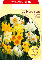 NARCISI FRAGRANT MIXED (CONFEZIONE DA 25 BULBI)