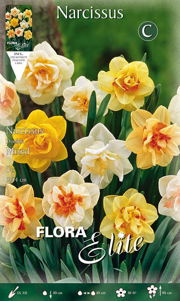 BULBI NARCISO DOUBLE MIX (CONFEZIONE DA 5 BULBI)
