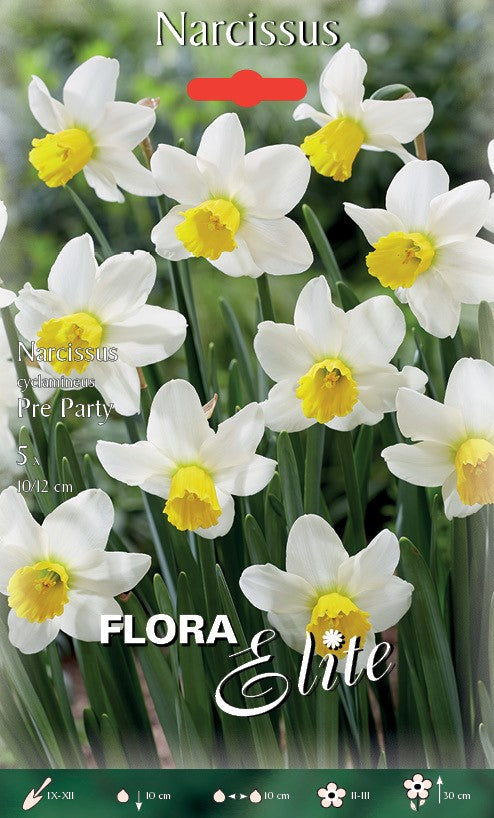 NARCISO CYCLAMINEUS PRE PARTY (CONFEZIONE DA 5 BULBI)