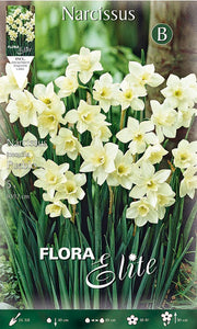 NARCISO JONQUILLA PUEBLO FRAGRANT (CONFEZIONE DA 5 BULBI)