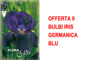 OFFERTA 9 BULBI IRIS GERMANICA BLU