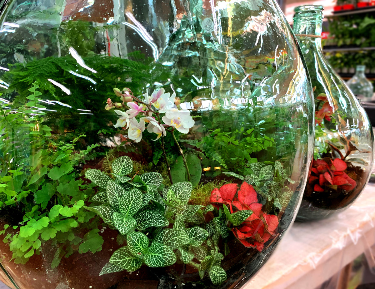 SET 2 ATTREZZI TELESCOPICI PER ECOSISTEMA TERRARIUM
