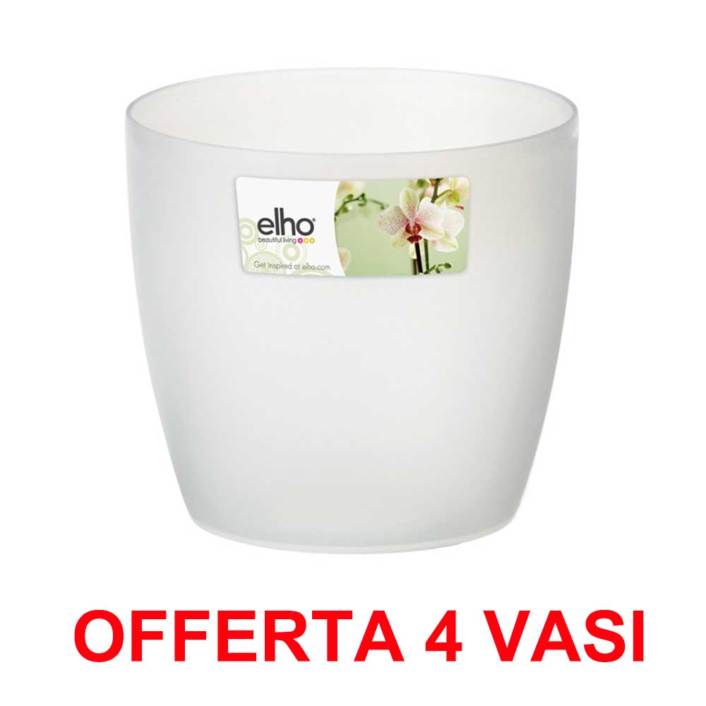OFFERTA 4 VASO BRUSSELS ORCHID 16CM TRASPARENTE