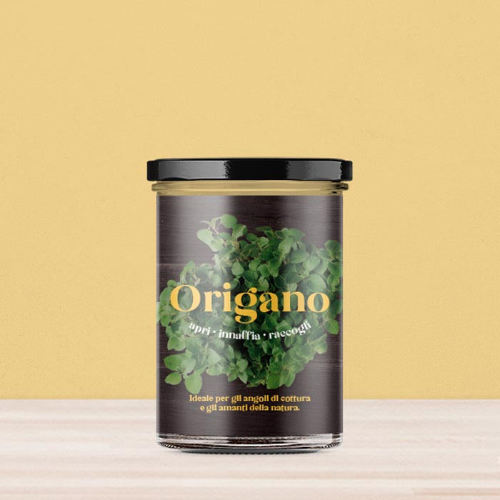 ORTO CUCINA - ORIGANO