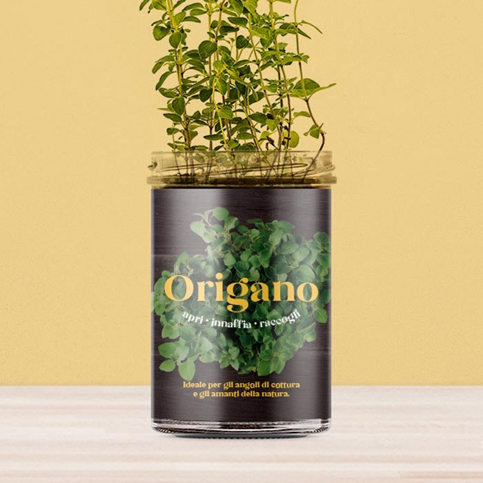ORTO CUCINA - ORIGANO