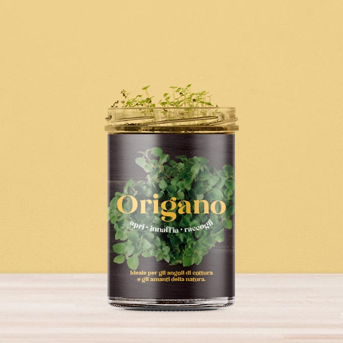 ORTO CUCINA - ORIGANO