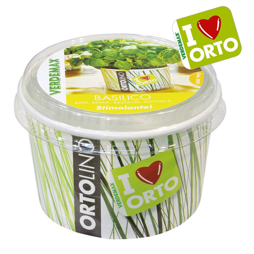KIT ORTOLINO BASILICO
